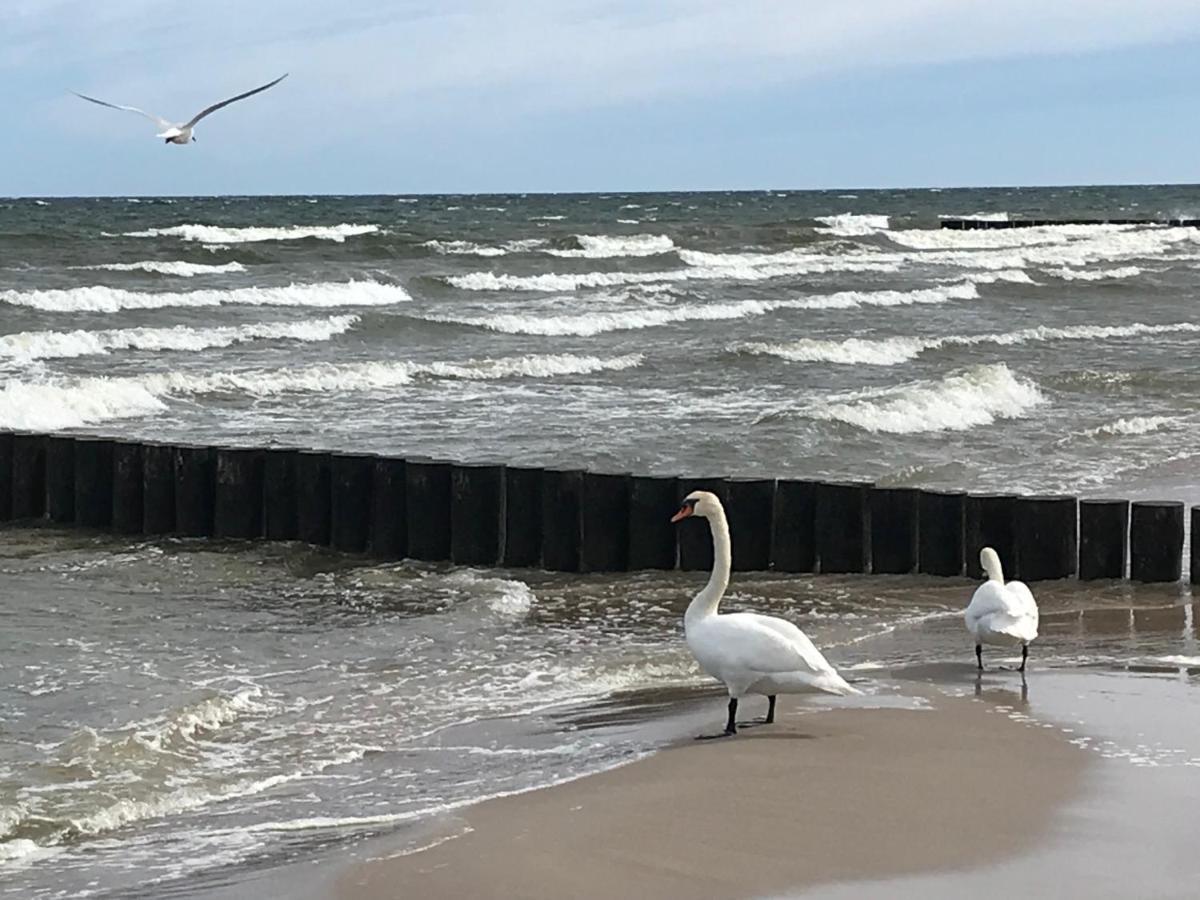 Poprostudomki Niechorze Exteriör bild